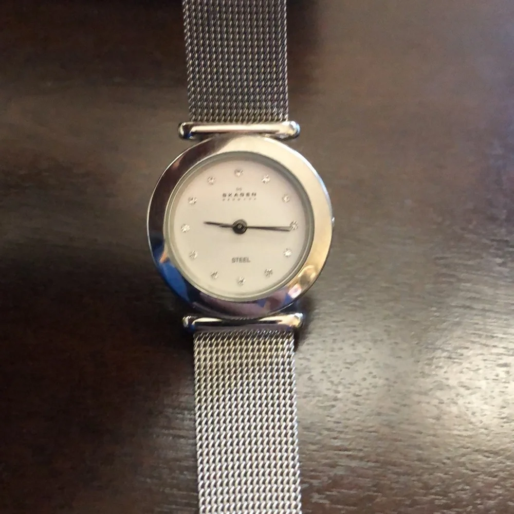 Skagen Denmark silver diamond stainless watch